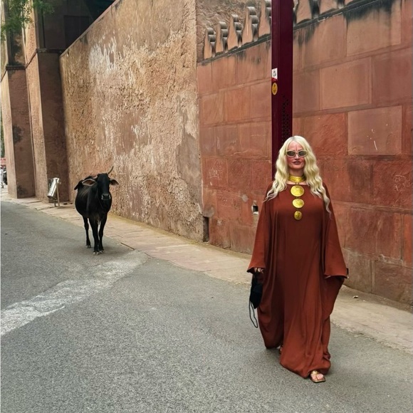 Taj Mahal Gorgeous ethereal Rusty earthy kaftan - Picture 3 of 7